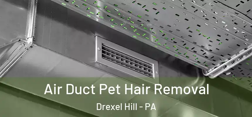  Air Duct Pet Hair Removal Drexel Hill - PA