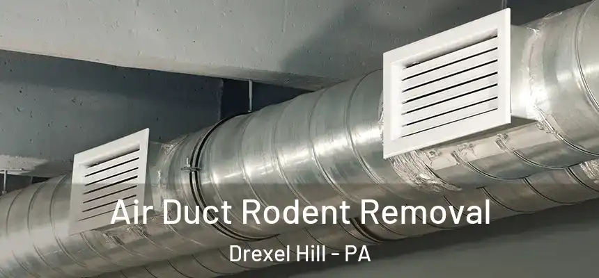 Air Duct Rodent Removal Drexel Hill - PA
