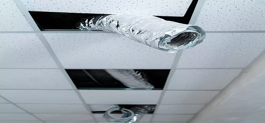 Affordable HVAC Sanitizing After Pest Removal in Drexel Hill