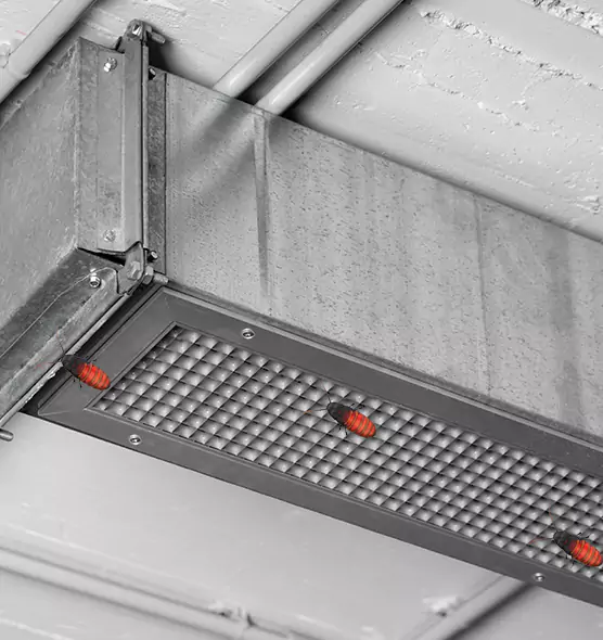 About Air Duct Cockroach Removal in Drexel Hill, PA