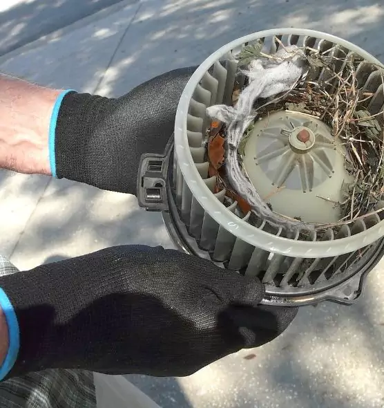 About Air Duct Rat Removal in Drexel Hill, PA