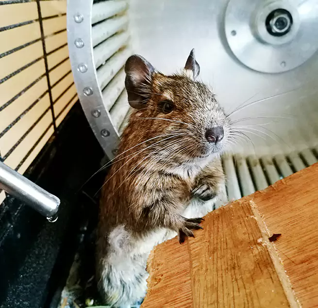 Why Homeowners & Businesses Trust Us Drexel Hill, PA?