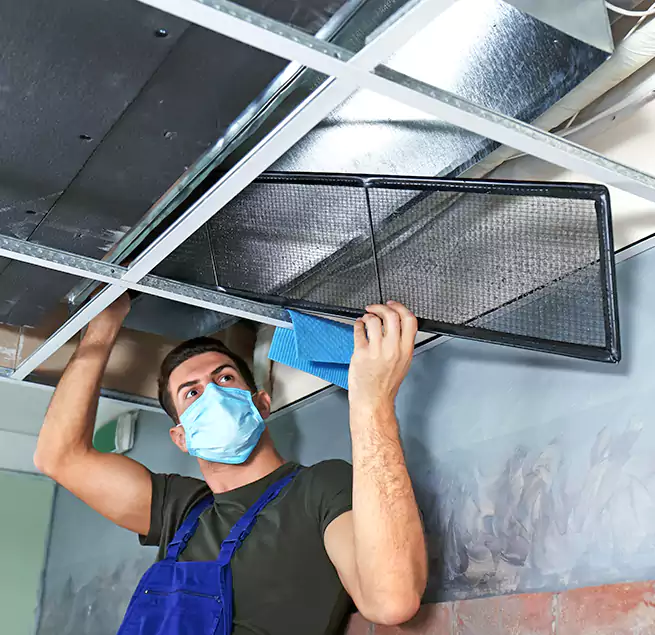 Why Homeowners Businesses Trust Us in Drexel Hill, PA