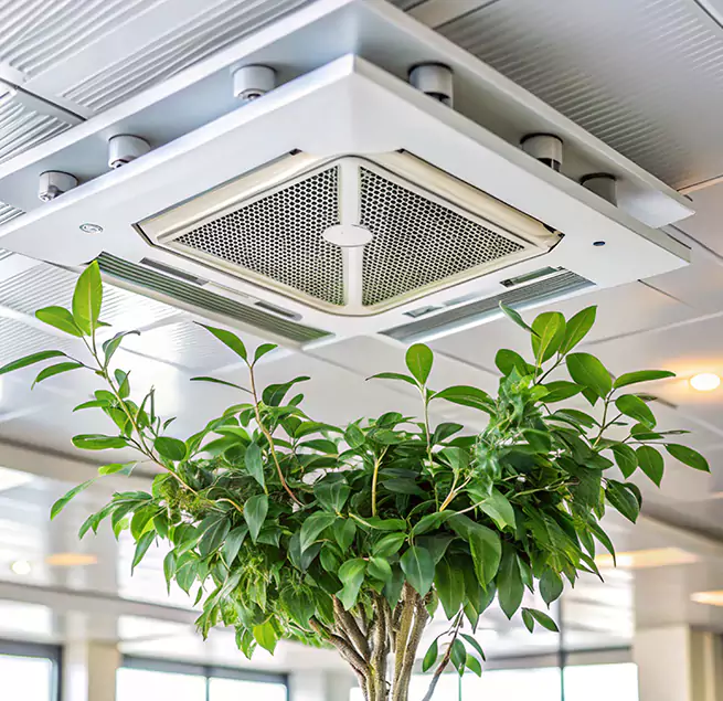 Why Homeowners & Businesses Trust Us in Drexel Hill, PA?